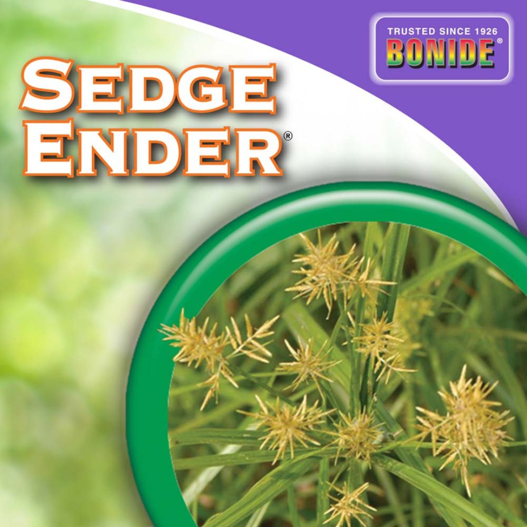 Sedge Ender Concentrate – Bonide – 16 oz